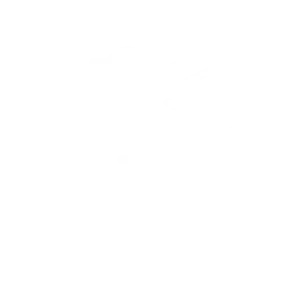 Checklists.webp